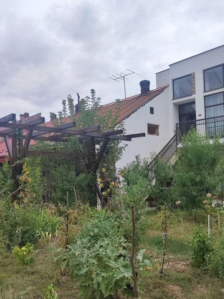 Satu Mare brasadas.com vinde Casa+Anexa Centru Satu Mare.